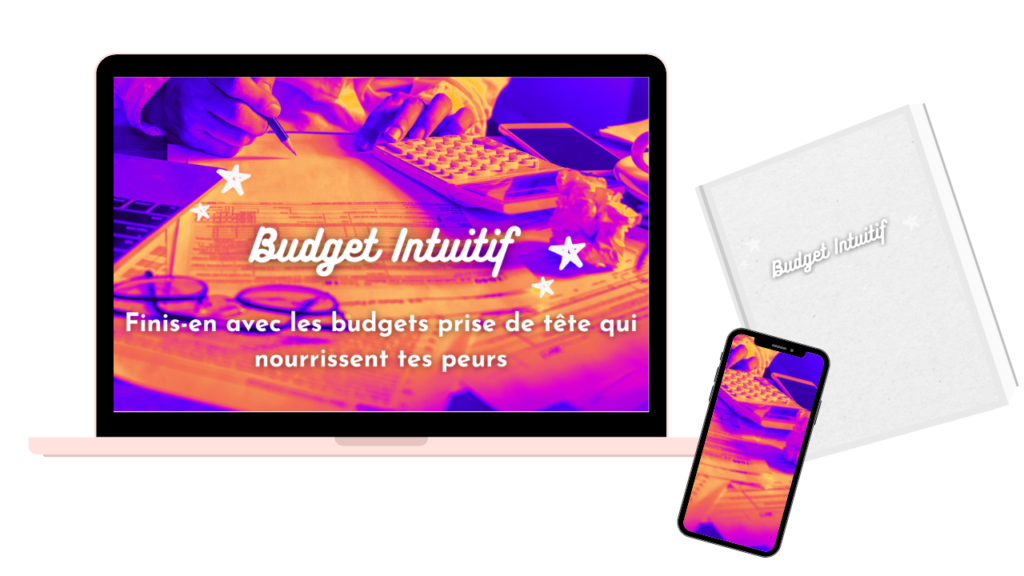 Budget intuitif 2 1024x576 - 💻 Mes programmes en ligne