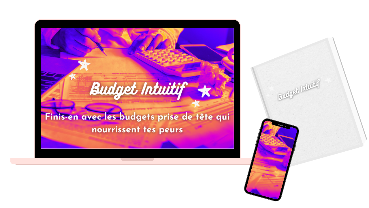 Budget intuitif 2 - 💻 Mes programmes en ligne
